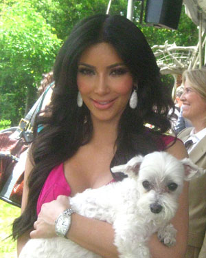 Скончался пёс Лаки Даймонд — животное, «самое фотографируемое со звездами»