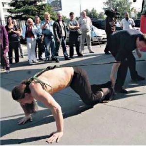 <?php the_title(); ?>