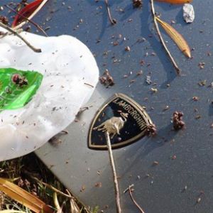 <?php the_title(); ?>