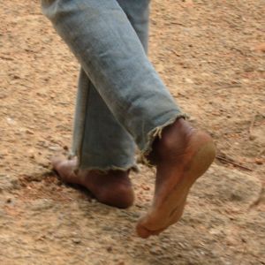 <?php the_title(); ?>