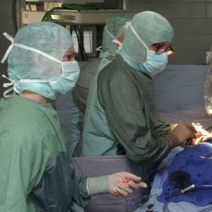 <?php the_title(); ?>