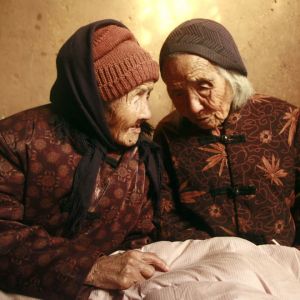 <?php the_title(); ?>