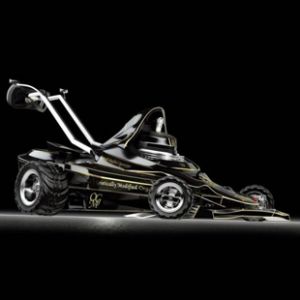 <?php the_title(); ?>