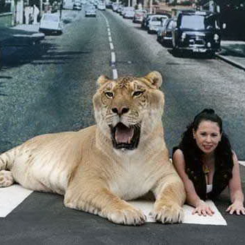 <?php the_title(); ?>