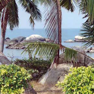 <?php the_title(); ?>