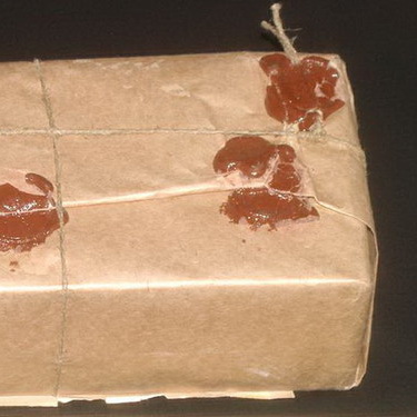 <?php the_title(); ?>