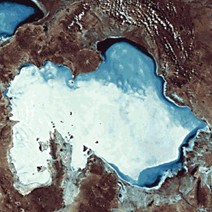 <?php the_title(); ?>