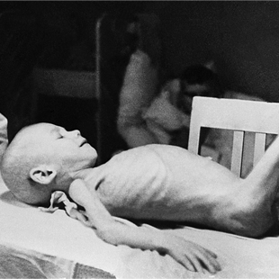 <?php the_title(); ?>