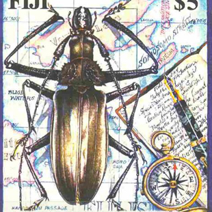 <?php the_title(); ?>