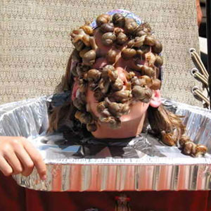 <?php the_title(); ?>