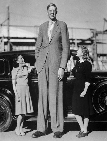 Wadlow