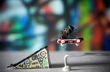 Приключение мистера Лётчика