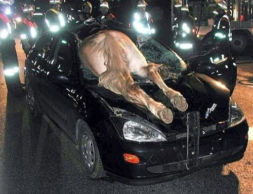 Самые курьезные аварии